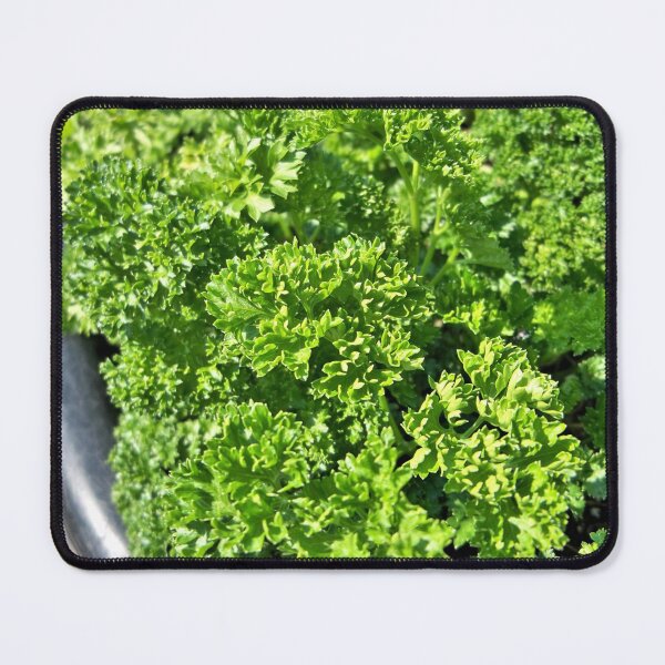 Item preview, Parsley designed and sold by CJGrimes.