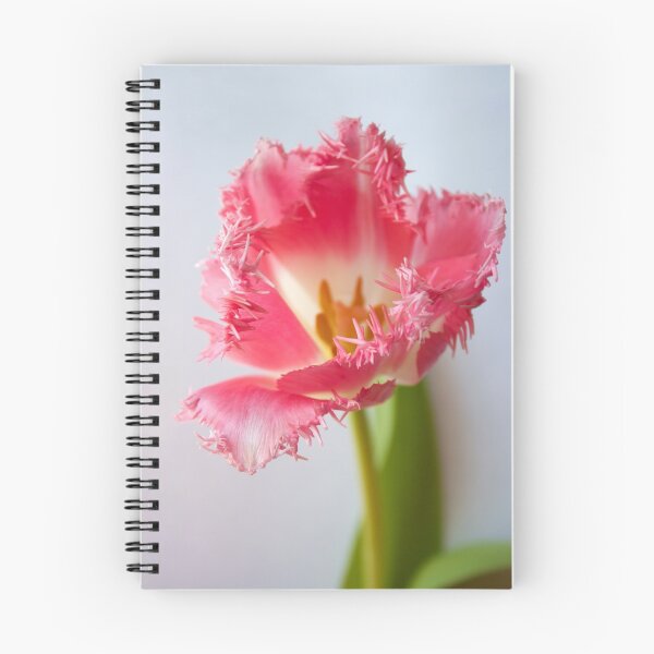 Artikelvorschau, Rose Tulpe Fotografie Makro-Stil entworfen und verkauft von LonaBon.