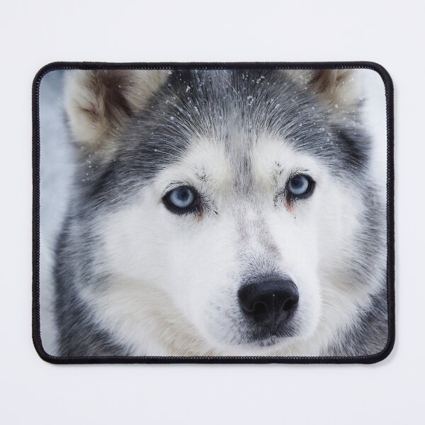 Item preview, Blue eyed girl  designed and sold by rmcbuckeye.