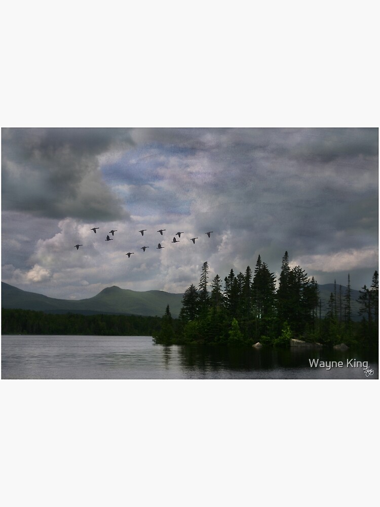 Painted Sky Over Jericho Lake by waynedking