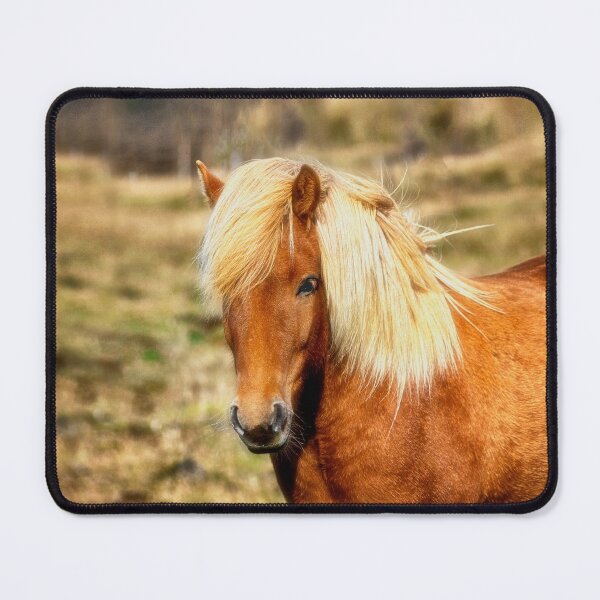 Item preview, Icelandic Horse designed and sold by Kathy Weaver.