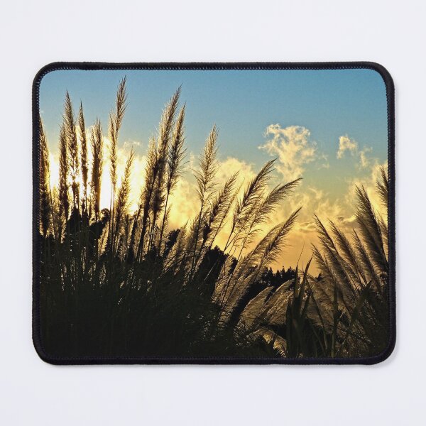 Item preview, Flowering Pampas Grass Plumes Sunset Cloudy Sky designed and sold by Anna Lemos.