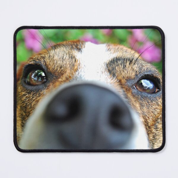 Item preview, Peek a Boo designed and sold by rmcbuckeye.
