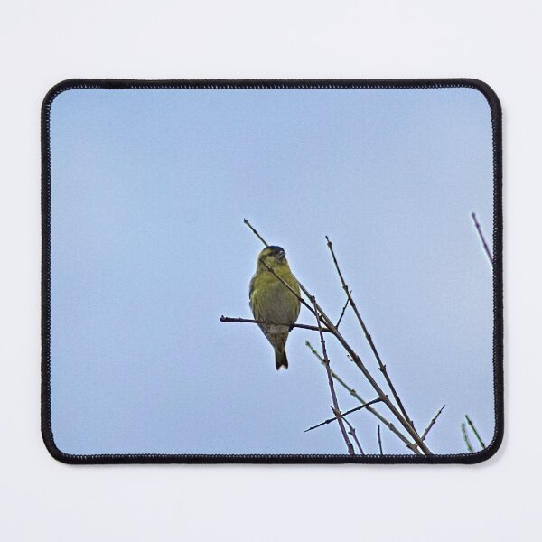 Item preview, Little Yellow Bird Tree Bare Branches designed and sold by Anna Lemos.