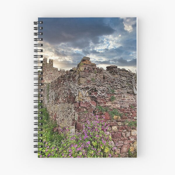 Item preview, Castle Ruins in Wales designed and sold by Sailmates Reflections.