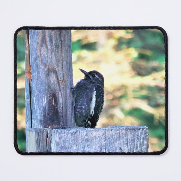Item preview, Juvenile Sapsucker designed and sold by CJGrimes.
