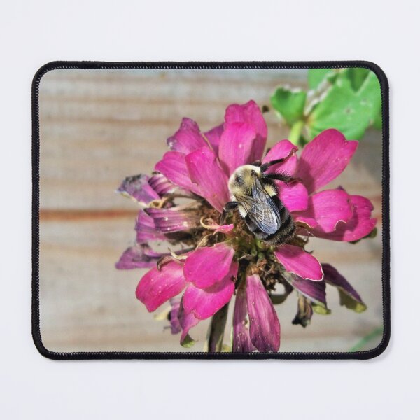 Item preview, Bumble's Breakfast designed and sold by CJGrimes.