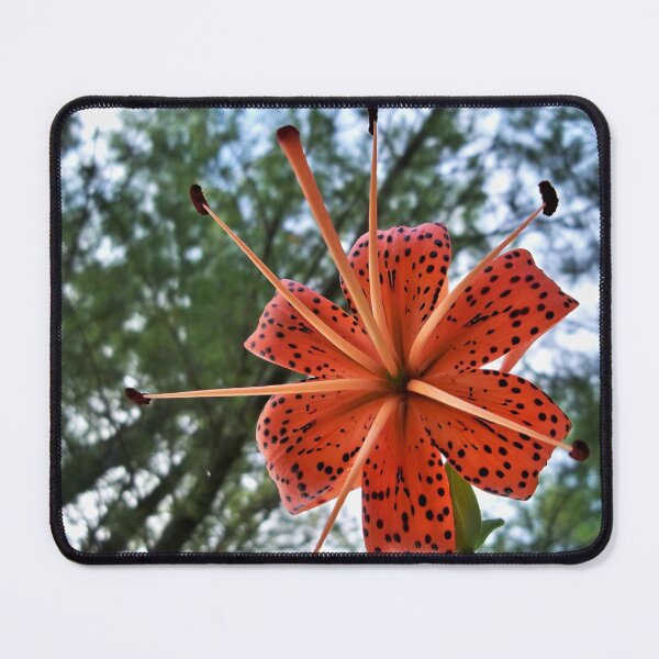 Item preview, Lying under a Lily designed and sold by CJGrimes.