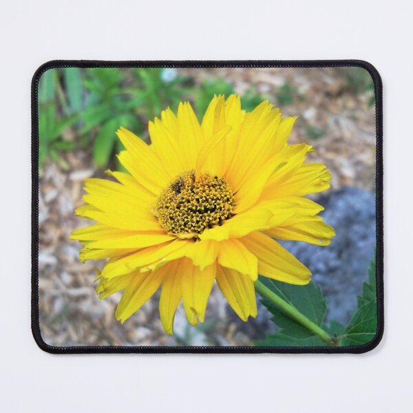 Item preview, Beautiful Imperfections designed and sold by CJGrimes.