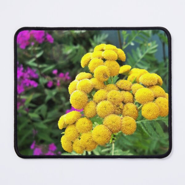 Item preview, Tall Tansy designed and sold by CJGrimes.