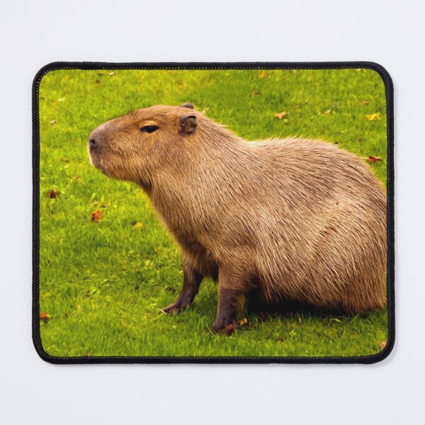 Item preview, Capybara designed and sold by Vac1.