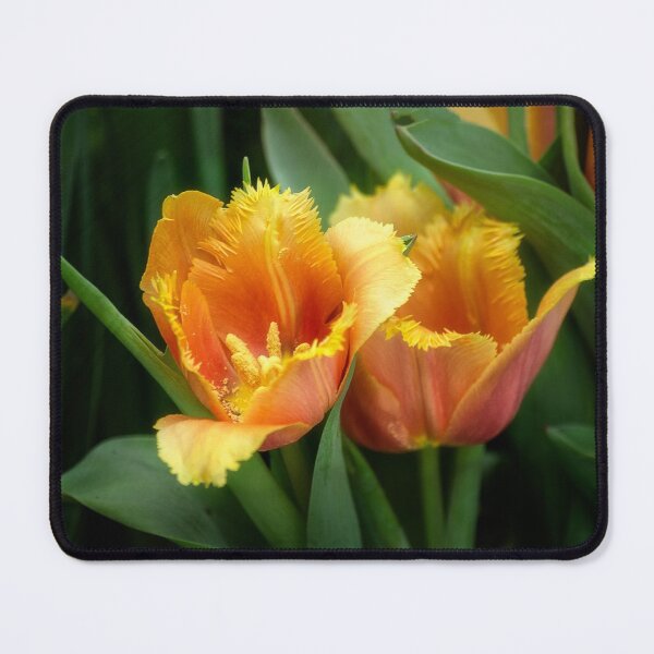 Item preview, Tulips in Spring designed and sold by Kathy Weaver.