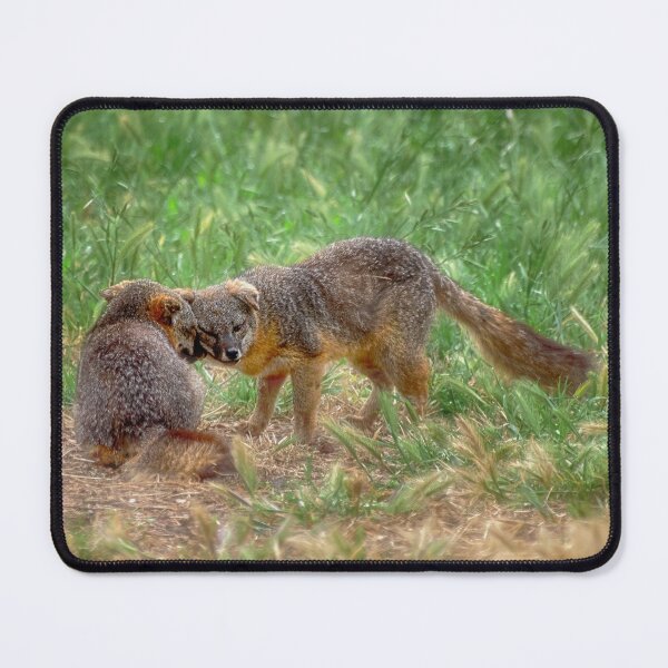 Item preview, Island Fox 2 designed and sold by Kathy Weaver.