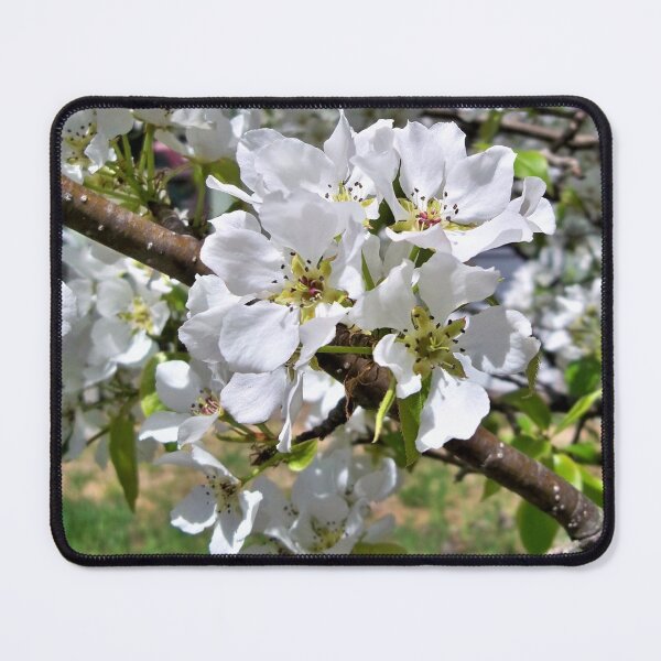 Item preview, Pear Blossom designed and sold by CJGrimes.