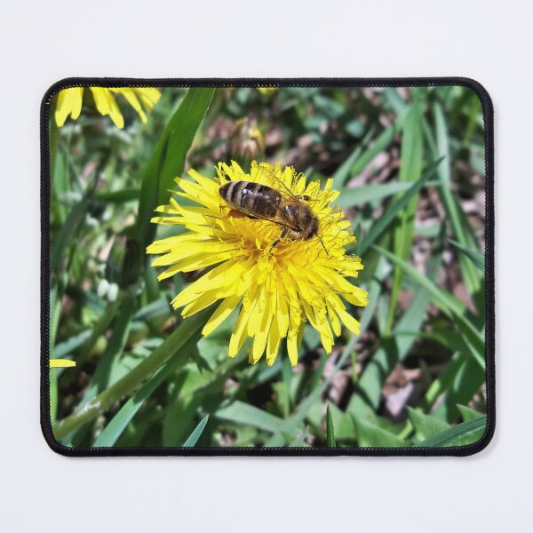Item preview, Dandy Bee designed and sold by CJGrimes.