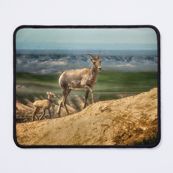 Item preview, Big Horn and Kid - Badlands National Park designed and sold by Kathy Weaver.