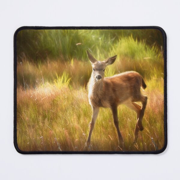 Item preview, Fawn designed and sold by Kathy Weaver.