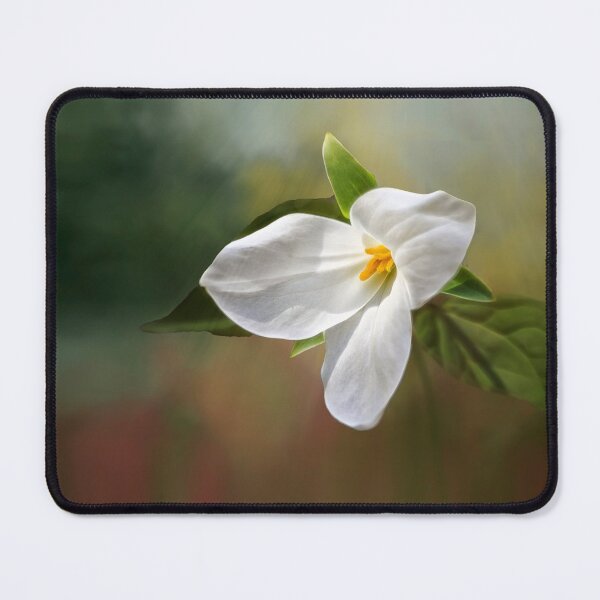 Item preview, Trillium in the Spring designed and sold by Kathy Weaver.