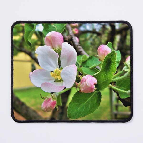 Item preview, Apple Blossom designed and sold by CJGrimes.