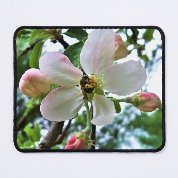 Item preview, Busy Bee designed and sold by CJGrimes.