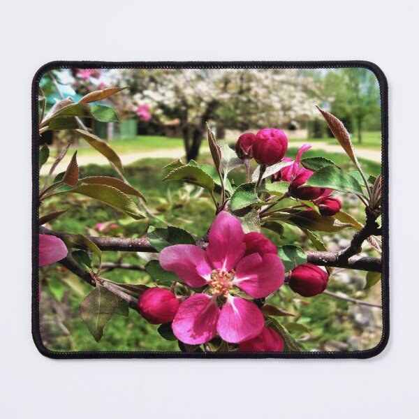 Item preview, Beauty Framing Light designed and sold by CJGrimes.
