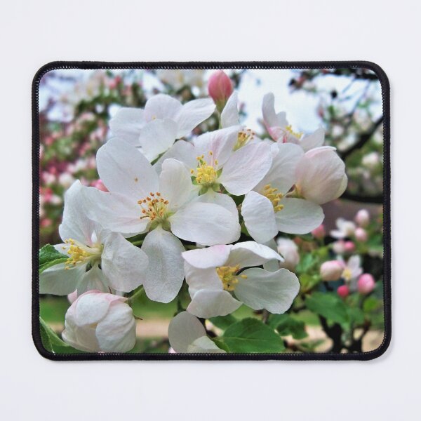 Item preview, White Crabapple Blooms designed and sold by CJGrimes.