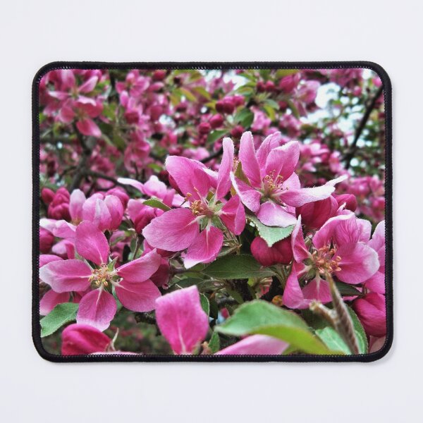 Item preview, Bursting with Blossoms designed and sold by CJGrimes.