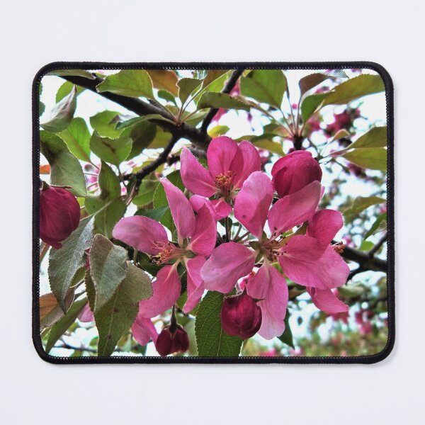 Item preview, Blossom Bunch designed and sold by CJGrimes.