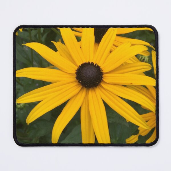 Item preview, Gloriosa Daisy designed and sold by eden1472.