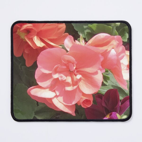 Item preview, Pelargonium designed and sold by eden1472.