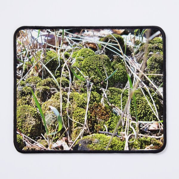 Item preview, Miniature Biome designed and sold by CJGrimes.
