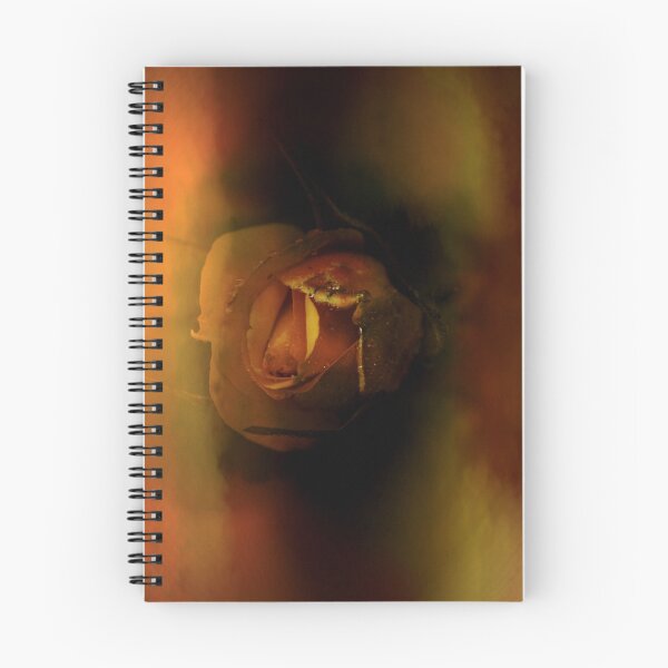 Item preview, fire rose001 designed and sold by paul gavin.