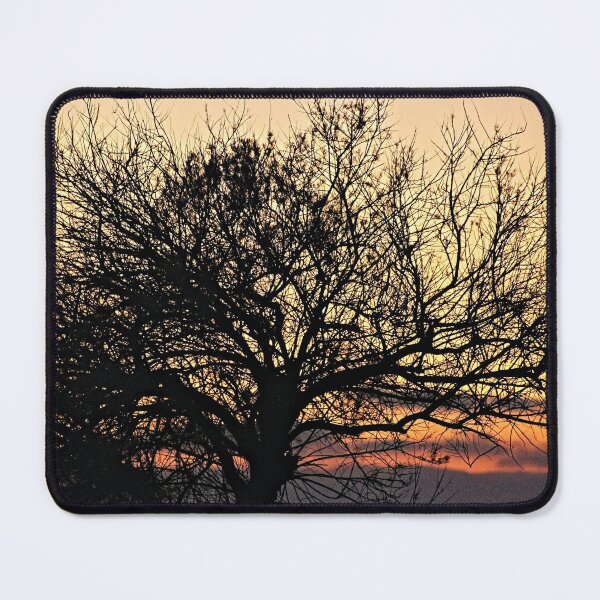 Item preview, Silhouette Bare Tree  Branches Sunset Sky designed and sold by Anna Lemos.