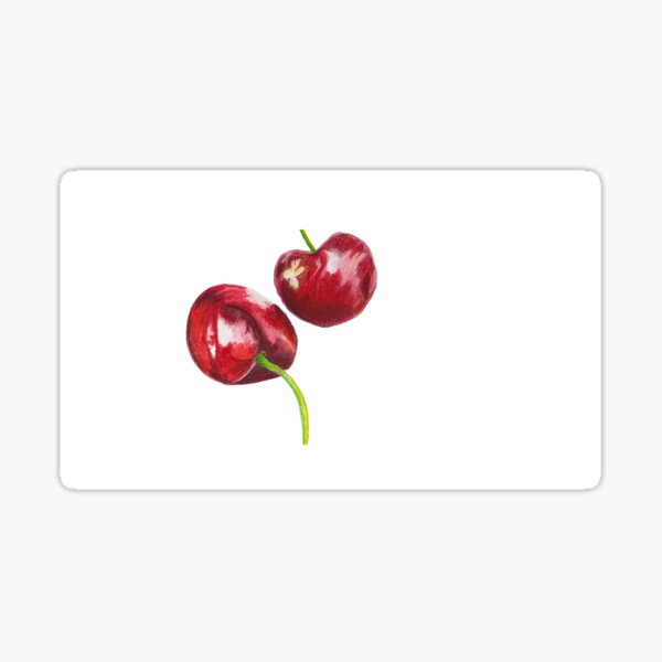 Rote Kirschen Sticker