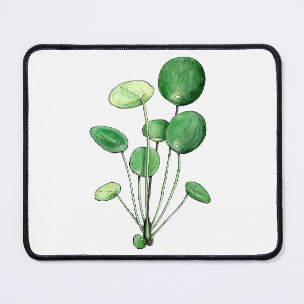 Item preview, Pilea Peperomioides - Watercolour Plant Illustration designed and sold by Pattokarts.