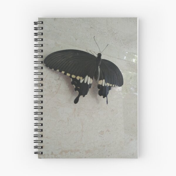 Item preview, Black butterfly designed and sold by parchnasingh.