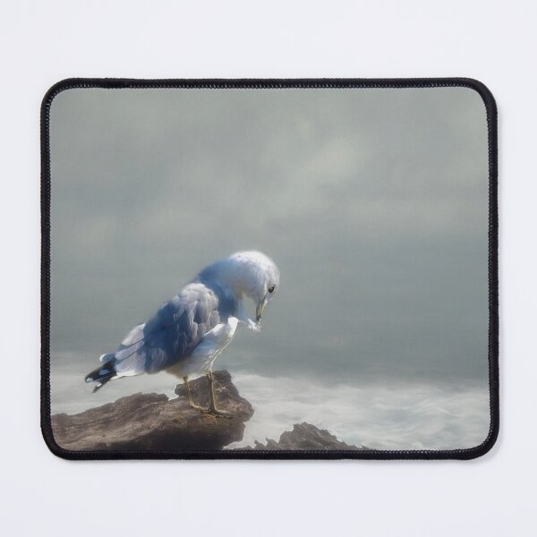 Item preview, The Preening Gull designed and sold by Kathy Weaver.