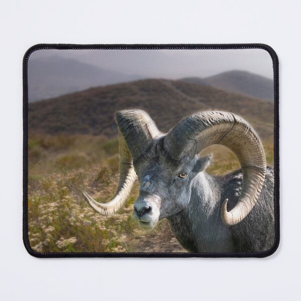 Item preview, Big Horn Sheep designed and sold by Kathy Weaver.