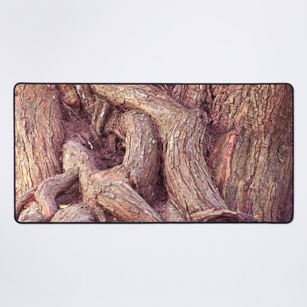 Item preview, Ancient Gnarled Ficus Tree Trunk and Aerial Roots Texture designed and sold by Anna Lemos.