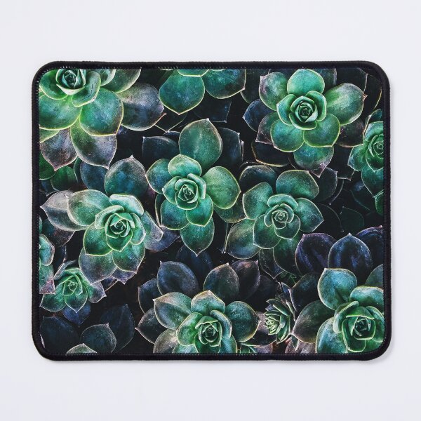 Item preview, Vibrant Blue and Green Colourful Succulents designed and sold by JulieSouster.