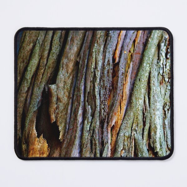 Item preview, Eucalyptus Tree Bark and Wood Texture 19 designed and sold by Anna Lemos.