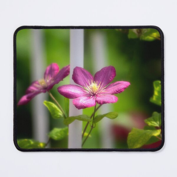 Item preview, Pink Clematis designed and sold by Kathy Weaver.