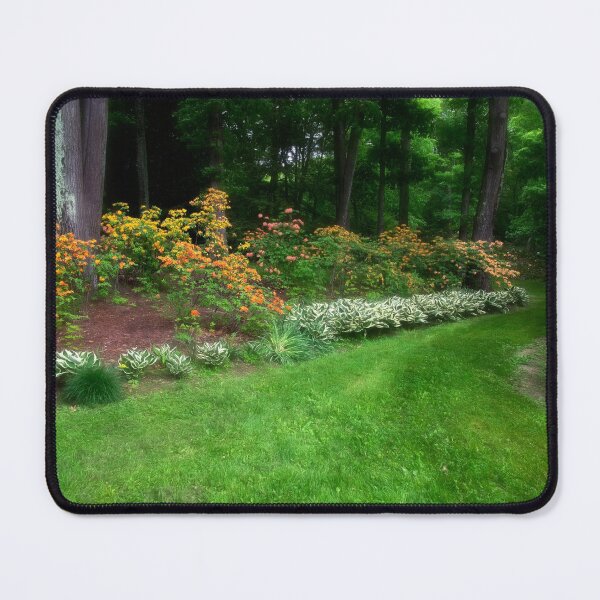 Item preview, Rhododendron Garden at Holden Arboretum designed and sold by Kathy Weaver.