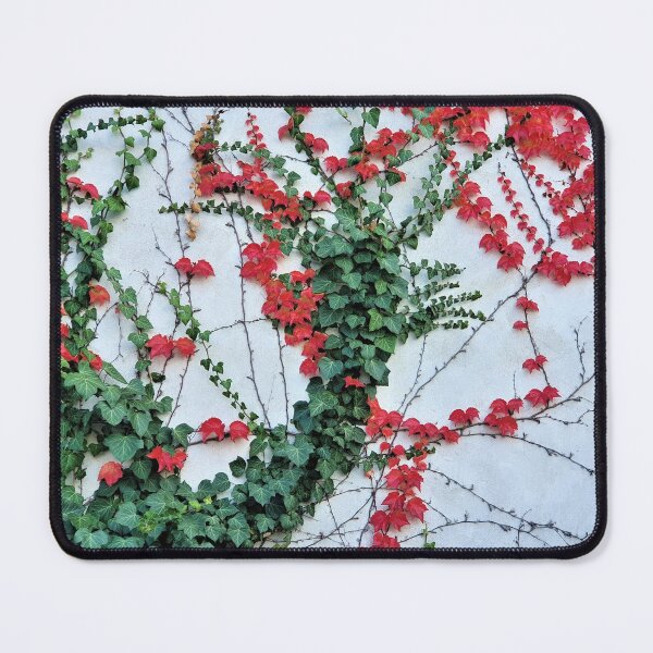 Item preview, Autumn Leaves designed and sold by TalBright.