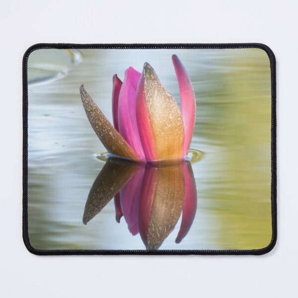 Item preview, Water Lily About to Bloom designed and sold by Kathy Weaver.