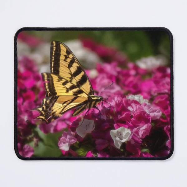 Item preview, Swallowtail designed and sold by Kathy Weaver.