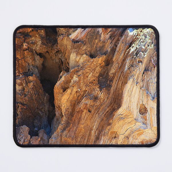 Item preview, Driftwood Detail Weathered Wood Texture designed and sold by Anna Lemos.