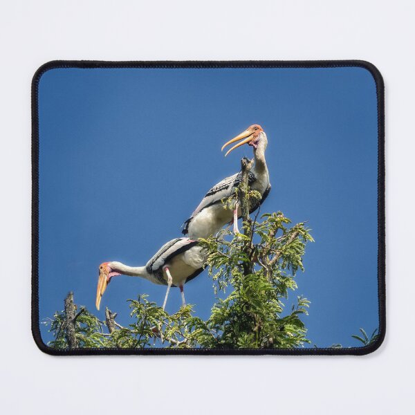 Item preview, Painted Storks designed and sold by Kathy Weaver.
