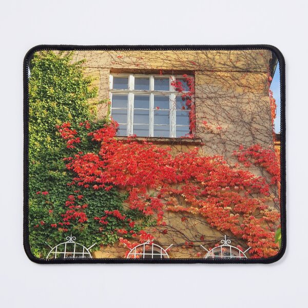 Item preview, Beautiful Architecture in Brno designed and sold by TalBright.