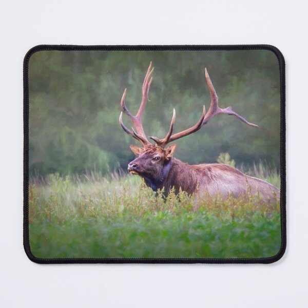 Item preview, Bull at Benezett designed and sold by Kathy Weaver.